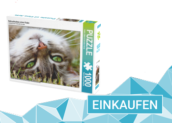 Hauskatzen Puzzles