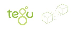 Tegu Magnet Holzbausteine